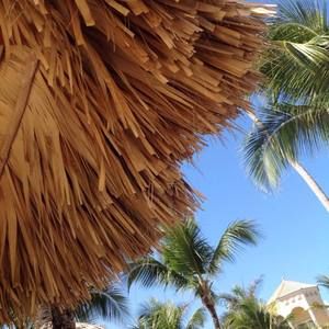 Meet your Posher, Renata